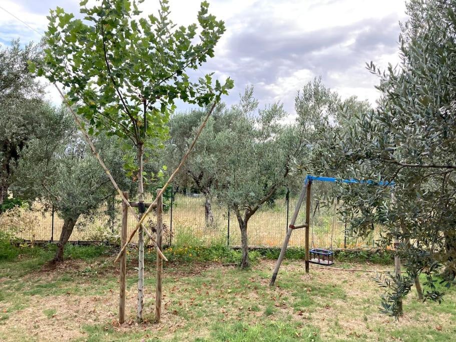 Casa Sisu-Appartamento Immerso Negli Ulivi Сант-Элия-Фьюмерапидо Экстерьер фото