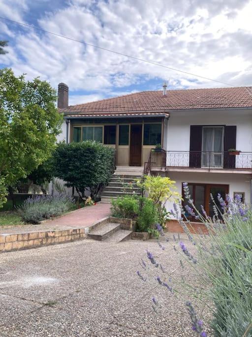 Casa Sisu-Appartamento Immerso Negli Ulivi Сант-Элия-Фьюмерапидо Экстерьер фото