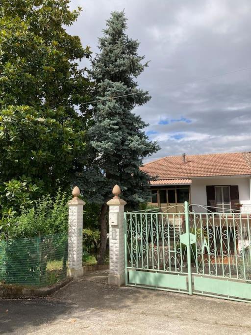 Casa Sisu-Appartamento Immerso Negli Ulivi Сант-Элия-Фьюмерапидо Экстерьер фото