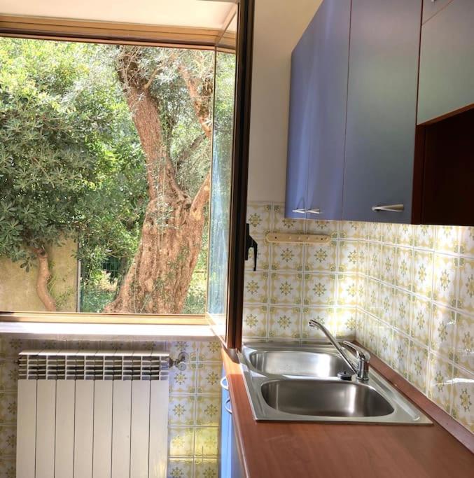 Casa Sisu-Appartamento Immerso Negli Ulivi Сант-Элия-Фьюмерапидо Экстерьер фото
