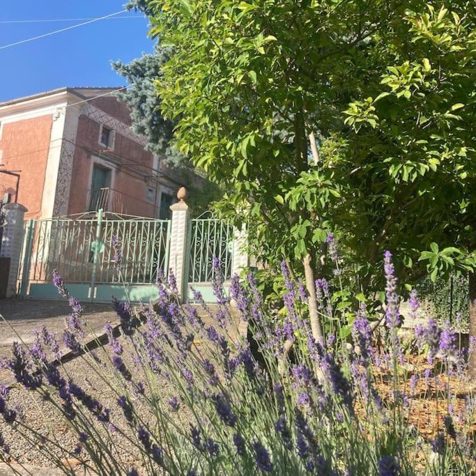 Casa Sisu-Appartamento Immerso Negli Ulivi Сант-Элия-Фьюмерапидо Экстерьер фото