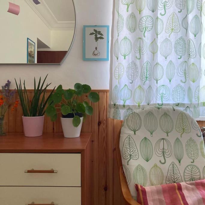 Casa Sisu-Appartamento Immerso Negli Ulivi Сант-Элия-Фьюмерапидо Экстерьер фото